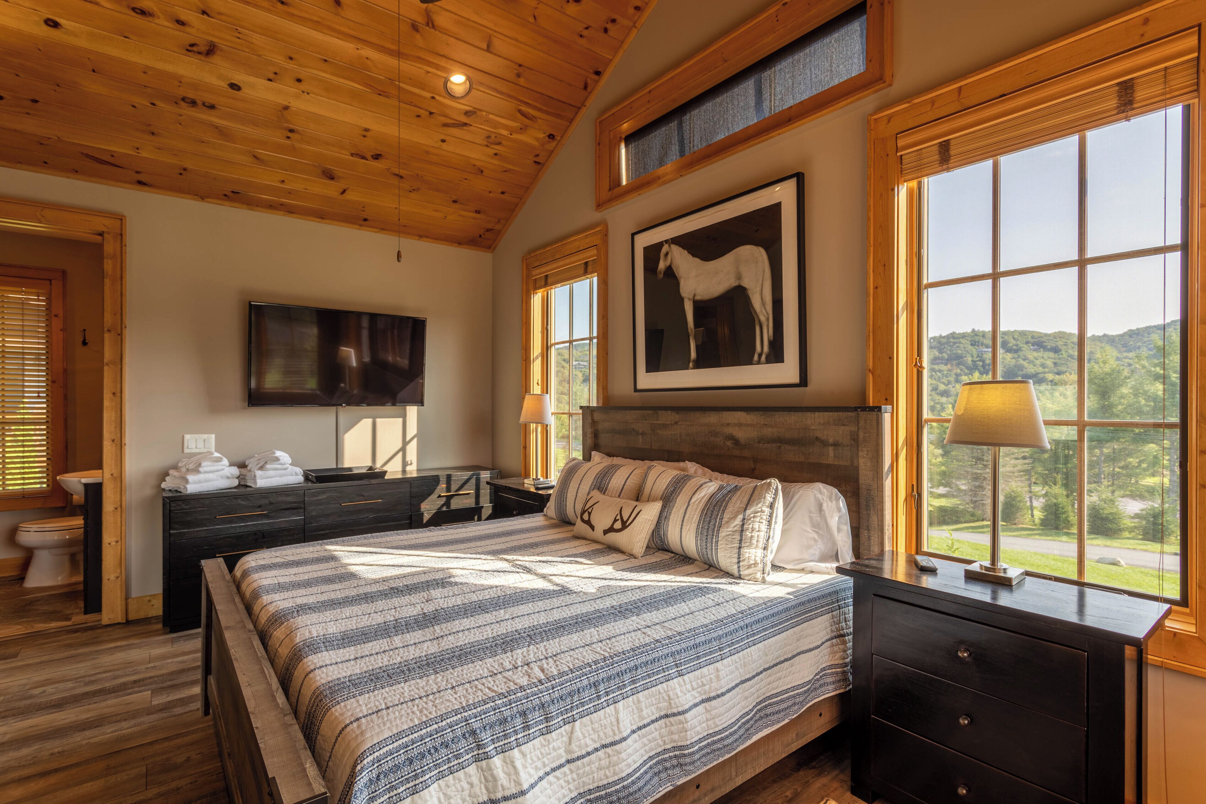 A bedroom with a large bed, a headboard, a dresser, a nightstand, a lamp, a framed picture of a horse, a television, and a window with a view of the outdoors.