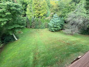 A backyard with a grassy lawn, surrounded by various trees and shrubs. - Nuttin' Better (Blowing Rock)