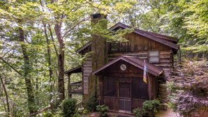 Unclassified image, 2 of 58, button - Daniel Boone Lodge (Boone)