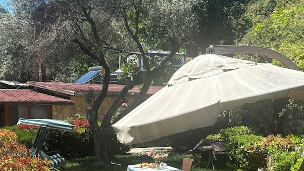 A patio with a table and chairs, surrounded by potted plants and a large umbrella. - Köyüm Konak (İzmir)