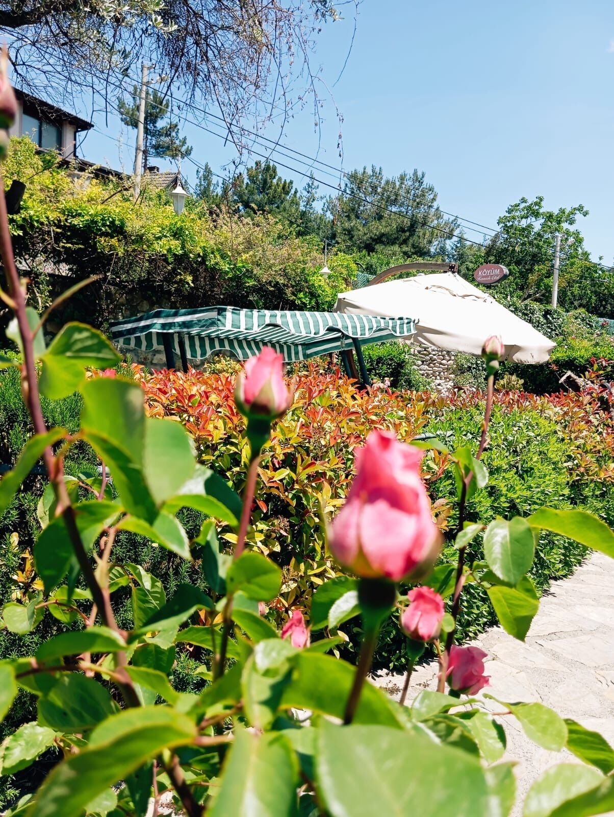 A garden with a gazebo, a stone pathway, and a variety of plants.