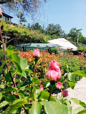 A garden with a gazebo, a stone pathway, and a variety of plants.