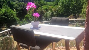 Une terrasse extérieure avec une table et des chaises, un pot de fleurs et une vue sur des collines verdoyantes.