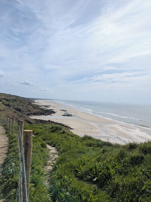 A coastal landscape with a sandy beach, grassy areas, and a wooden fence.