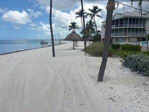 Ein Strand mit einer reetgedeckten Hütte, Palmen und einem Gebäude mit Balkon.