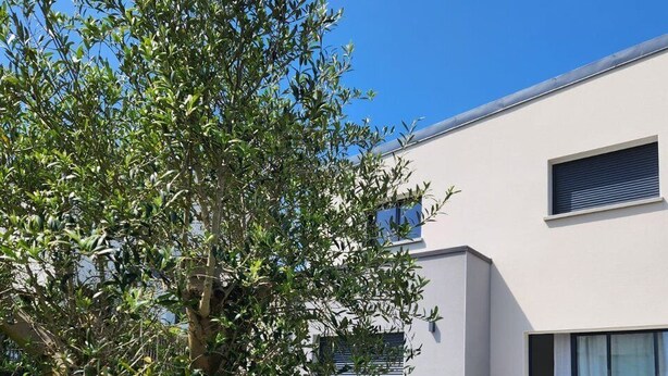 A modern building with a tree in the foreground, a paved area, and a window with a view. - Architect-designed house 800m from the sea (Paimpol)
