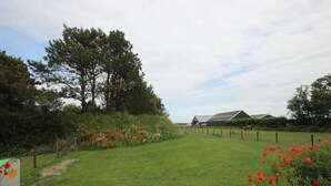 A rural landscape with a wooden fence, a barn, and a horse in the distance. - Texel Nature Villa With Sauna (De Koog)