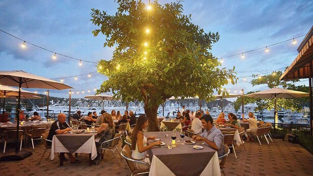 Un espace extérieur aménagé pour les repas, avec des tables et des chaises, des guirlandes lumineuses et un arbre qui offre de l’ombre.