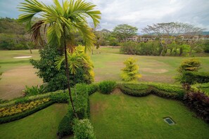 Camp de golf amb gespa cuidada, una palmera i una vista llunyana d'una zona residencial.