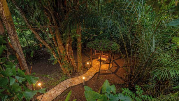 A garden with a wooden gazebo, a stone pathway, and surrounding greenery. - Harmon House 6 BR with private pool (Playa Herradura)