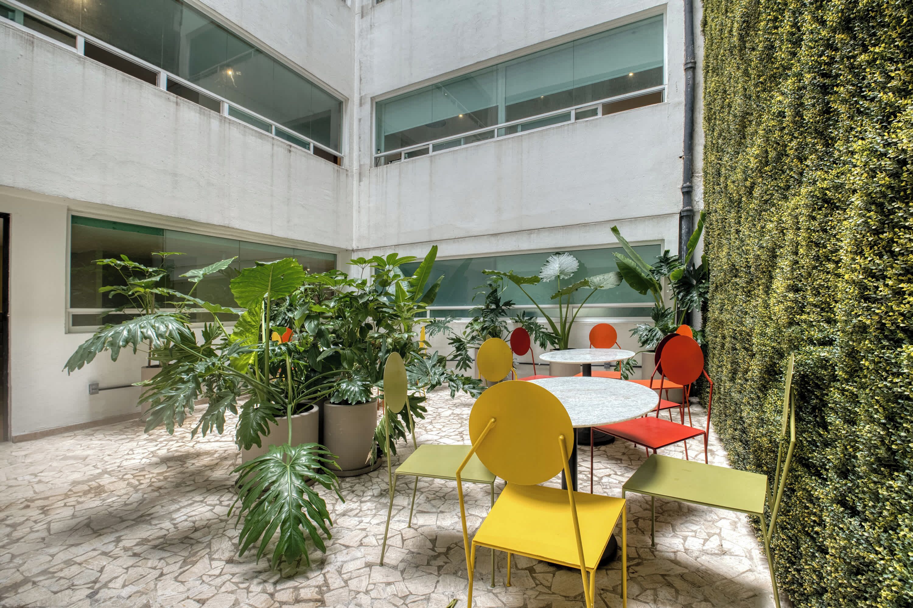 A spacious indoor area with a high ceiling, large windows, and a variety of potted plants.