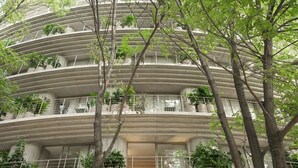 Un edificio de varios pisos con balcones, plantas en macetas y una entrada central.