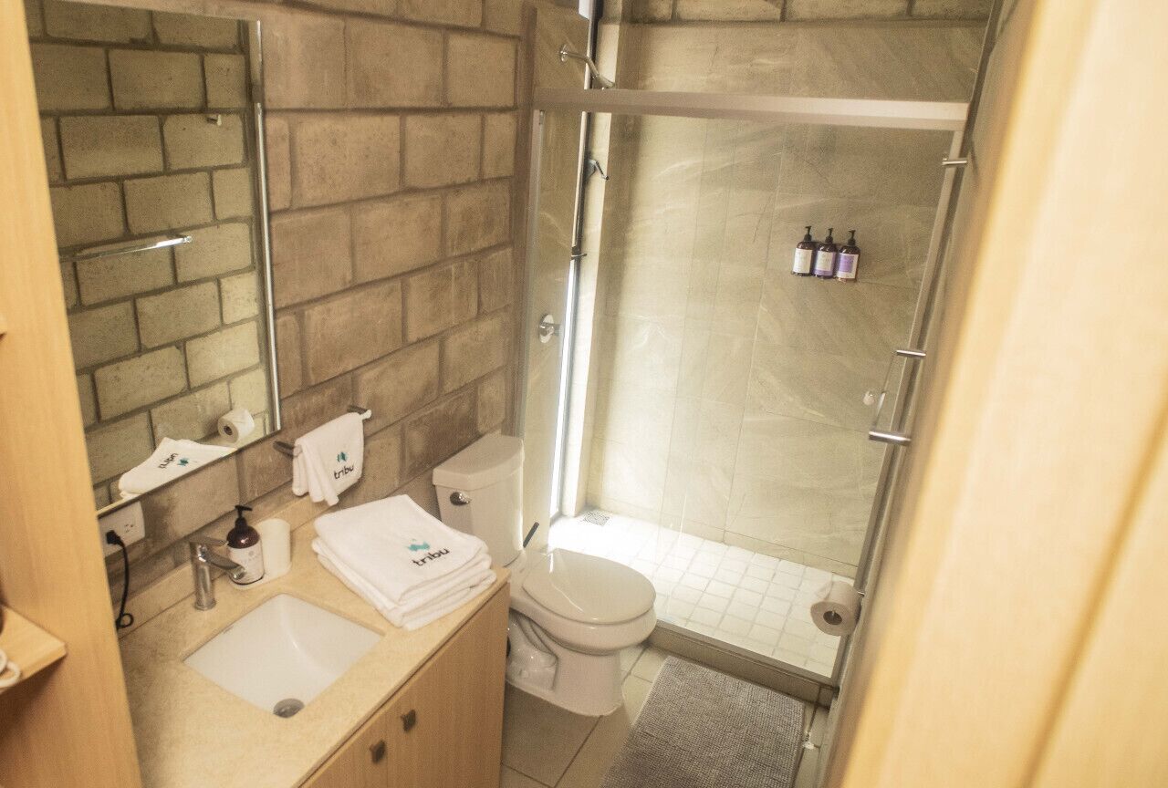 Shower, hair dryer, shampoo