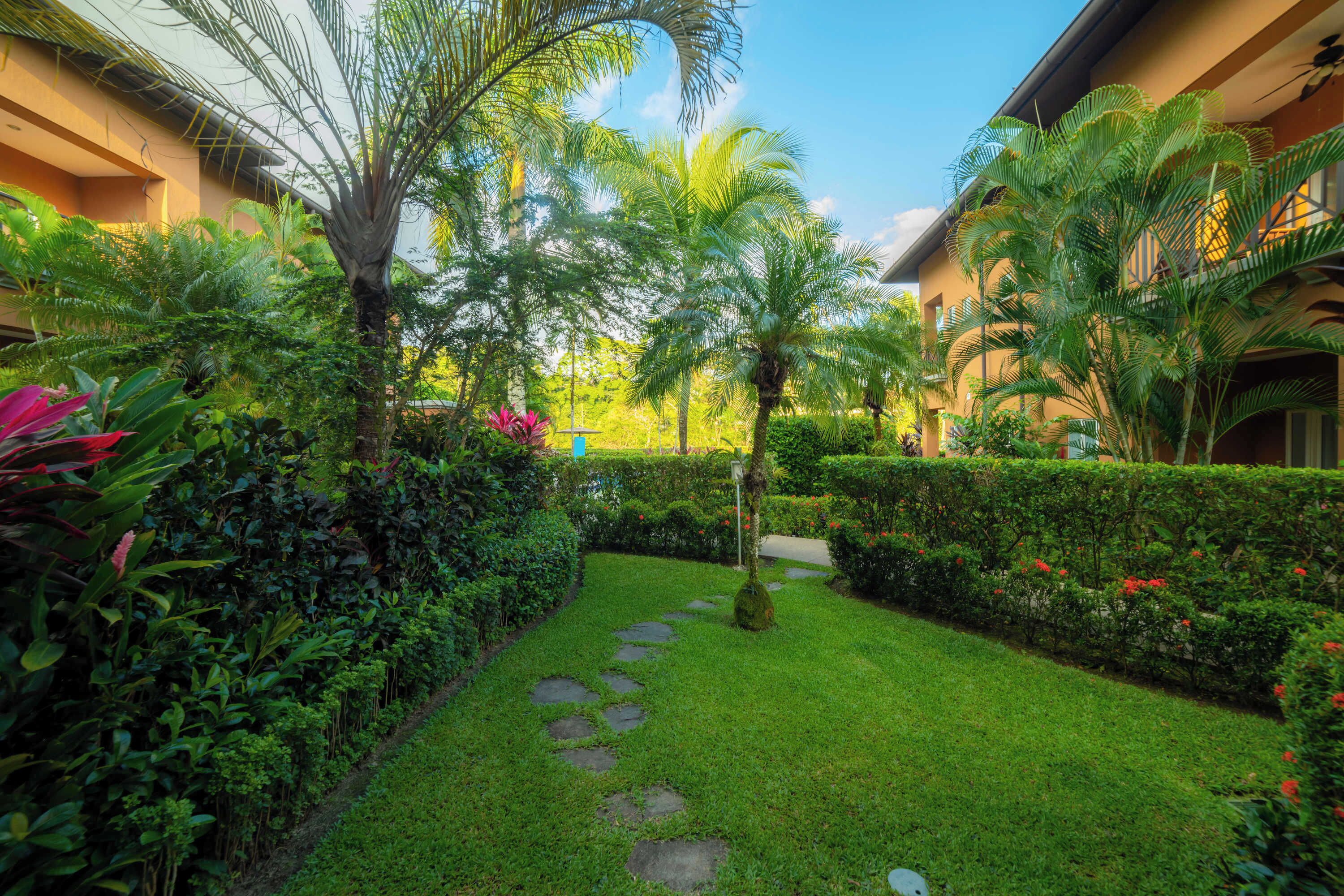 A lush garden with a stone pathway, palm trees, and well-maintained hedges.