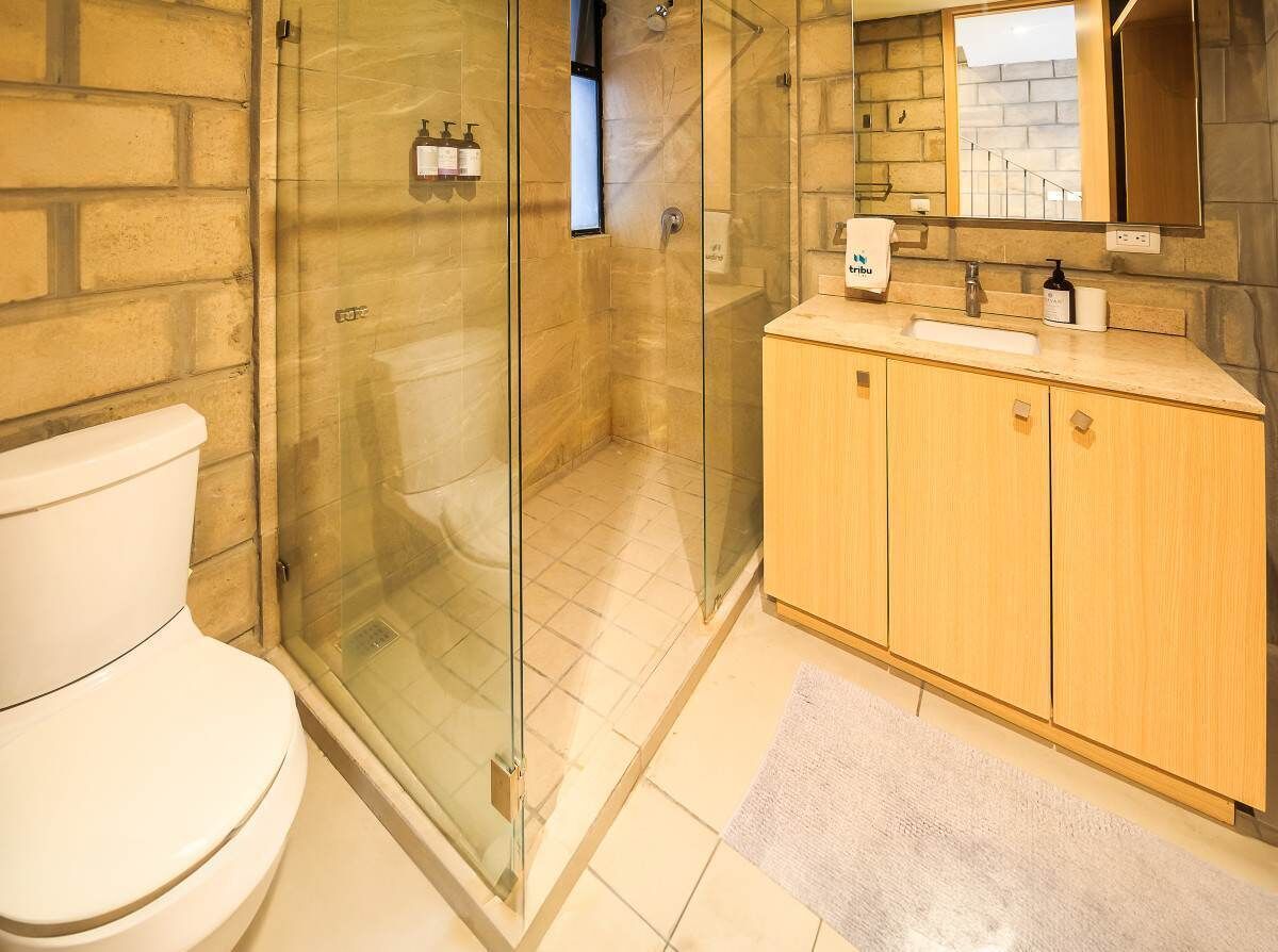 Shower, hair dryer, shampoo