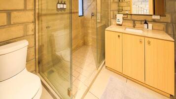 Shower, hair dryer, shampoo