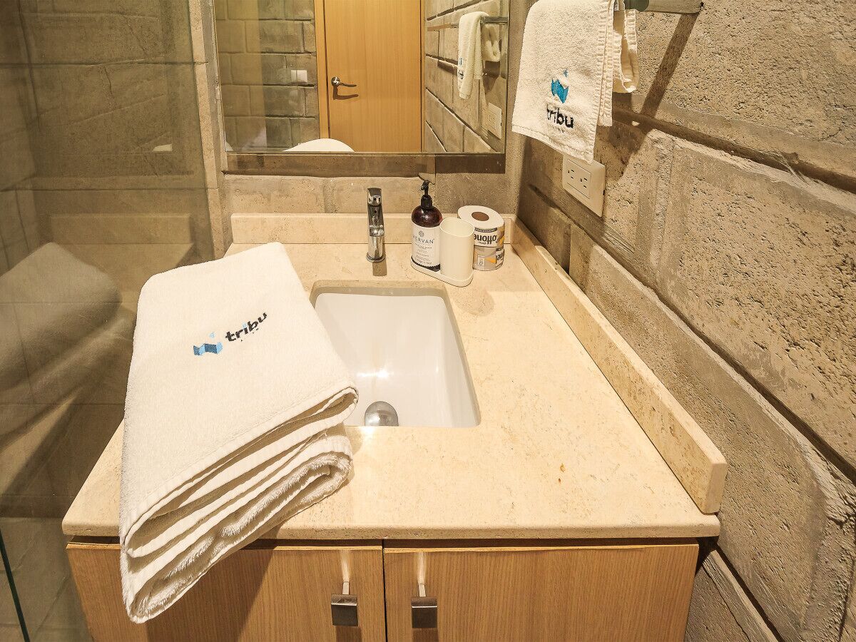 Shower, hair dryer, shampoo