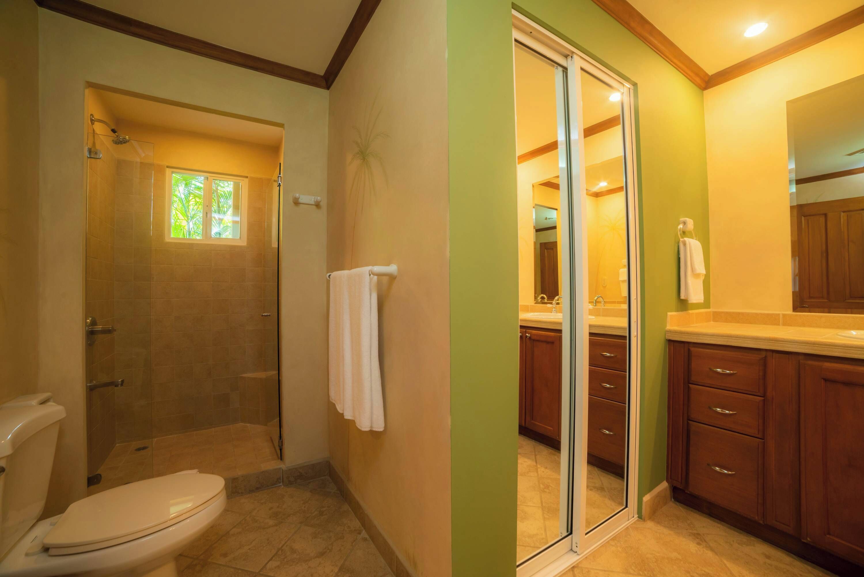 A bathroom with a toilet, shower, and a mirror.