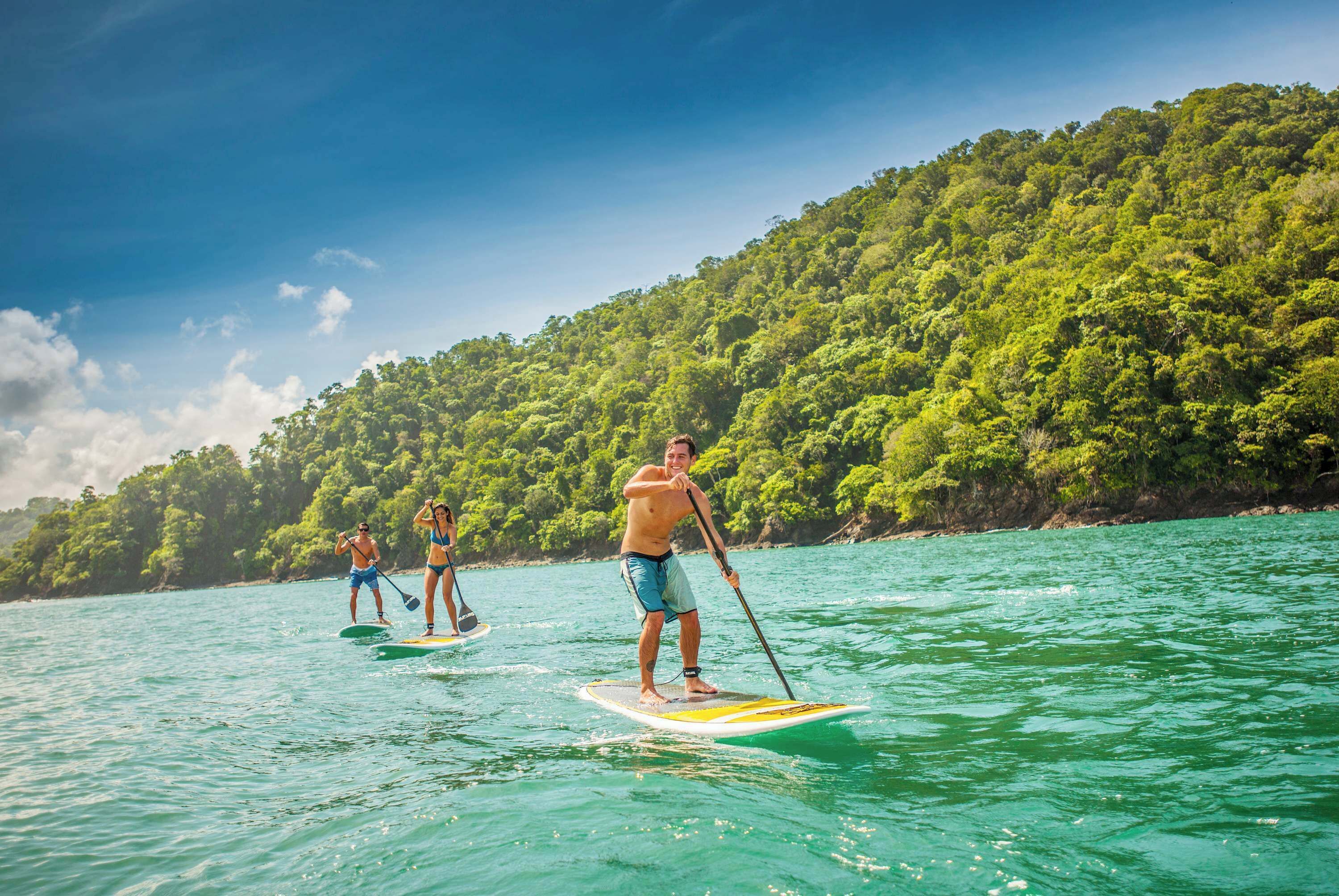 Trois personnes pratiquent le paddle sur une mer calme, avec une colline boisée en arrière-plan.