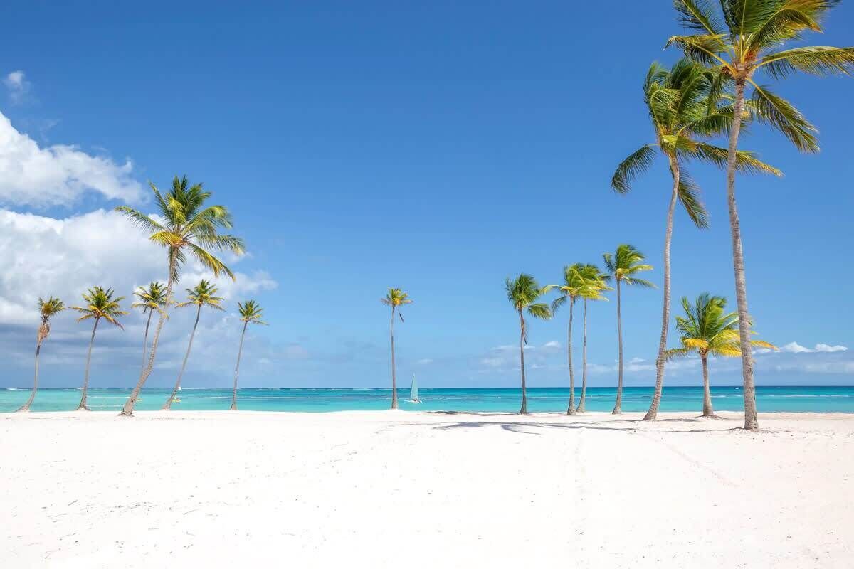 Una playa con arena blanca y palmeras bajo un cielo azul despejado.