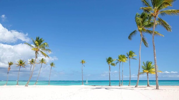 A beach with white sand and palm trees under a clear blue sky. - Cozy 1br with Balcony, Pool & Beach Access Cap Cana (Punta Cana)