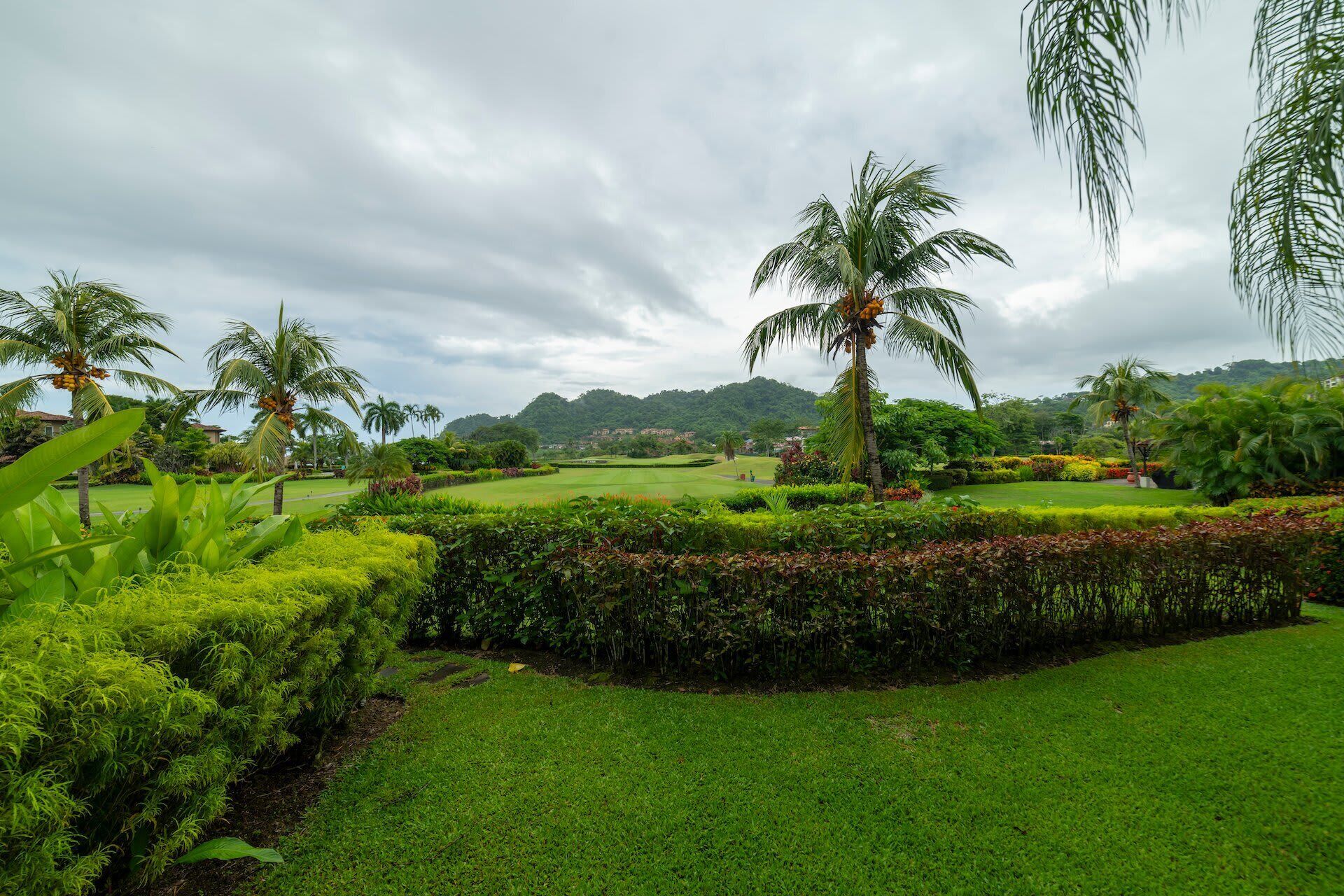 Un paysage verdoyant et luxuriant, parsemé de palmiers et agrémenté de haies bien taillées.
