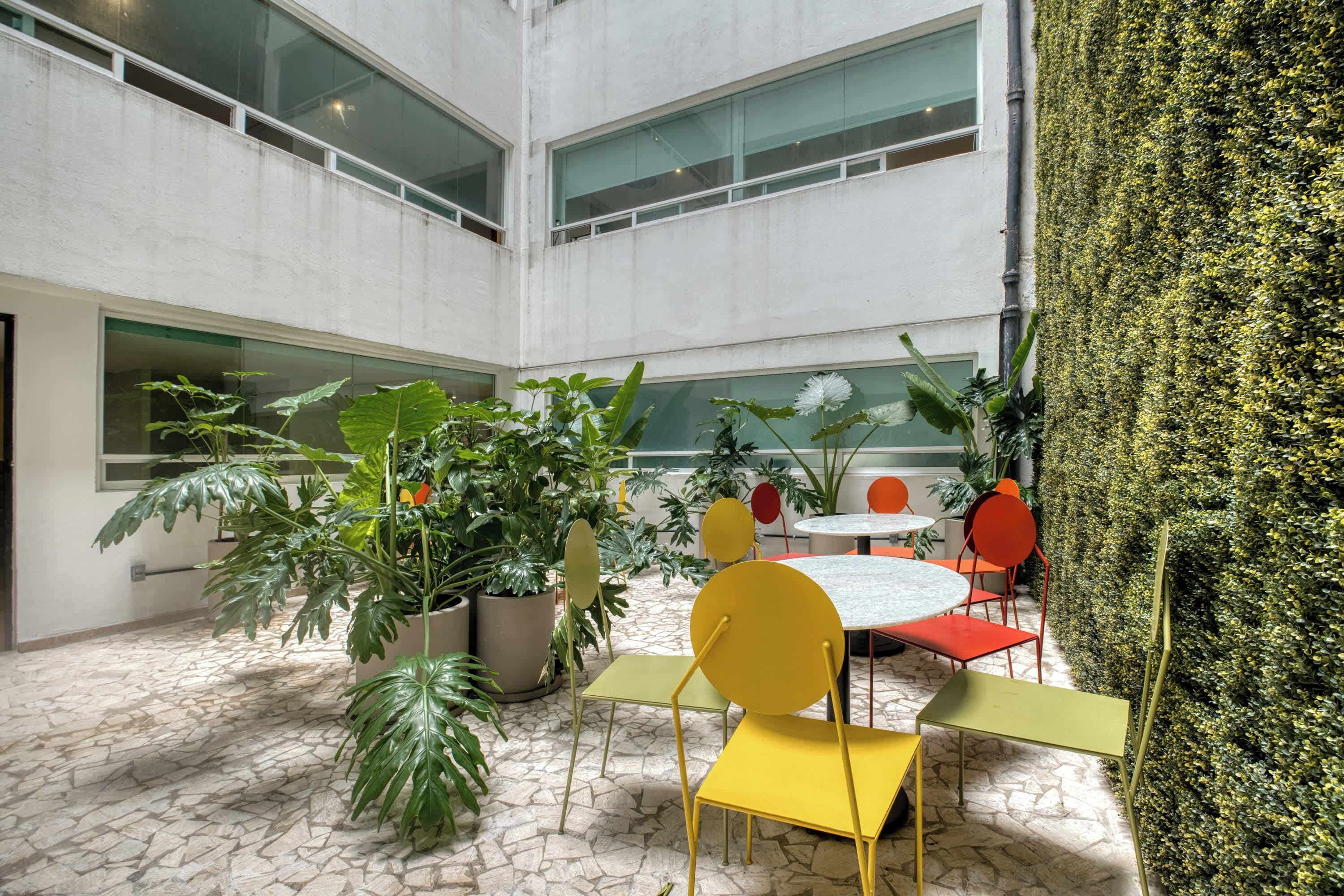 A spacious indoor area with a high ceiling, large windows, and a variety of potted plants.
