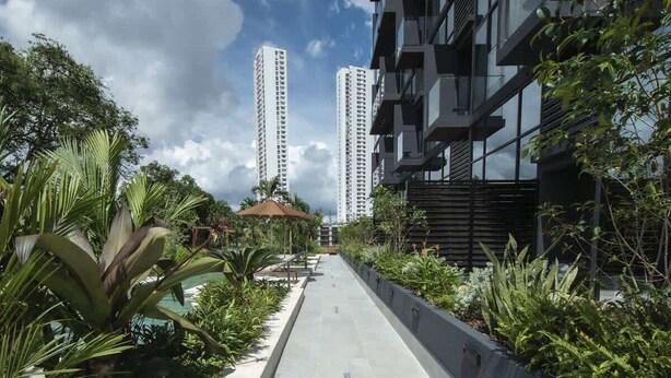 A pathway lined with tropical plants and a modern building with balconies. - Feel like home in spacious 1br apartment (Panamá)