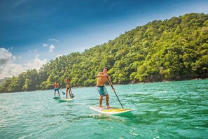 Drie personen staan op paddleboards op een rustige zee, met een bebost heuvel op de achtergrond.