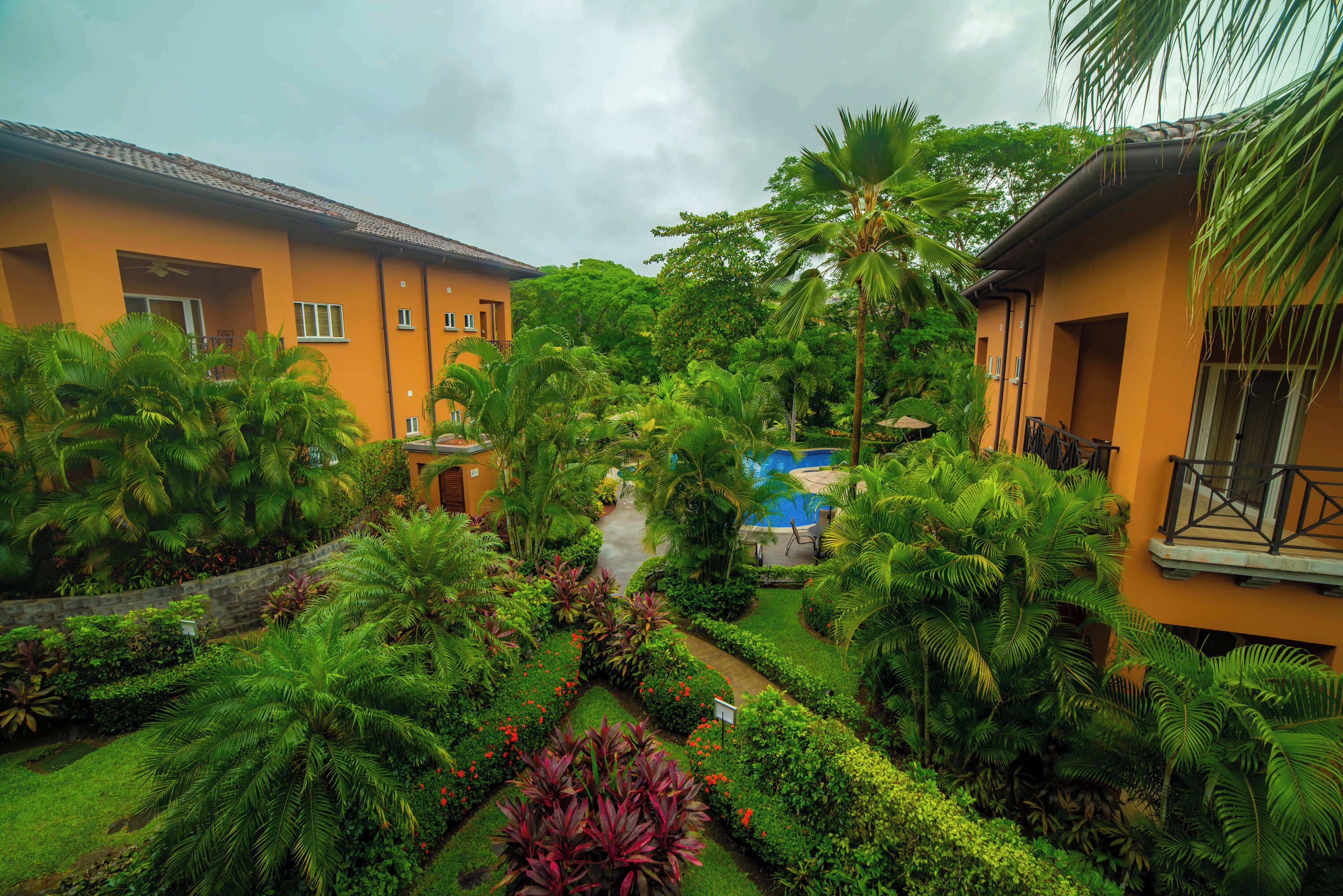 A courtyard with lush greenery, a swimming pool, and a building with a tiled roof.