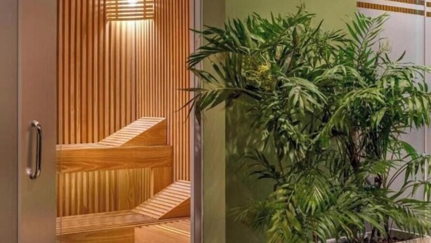 Een sauna met houten latten en een plant in pot.