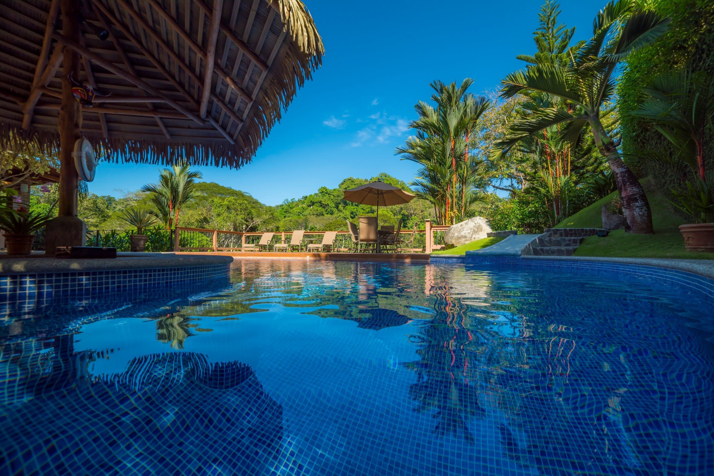 Ein Pool mit gefliesten Rändern, Liegestühlen, einer Reetdachkonstruktion und Palmen im Hintergrund.