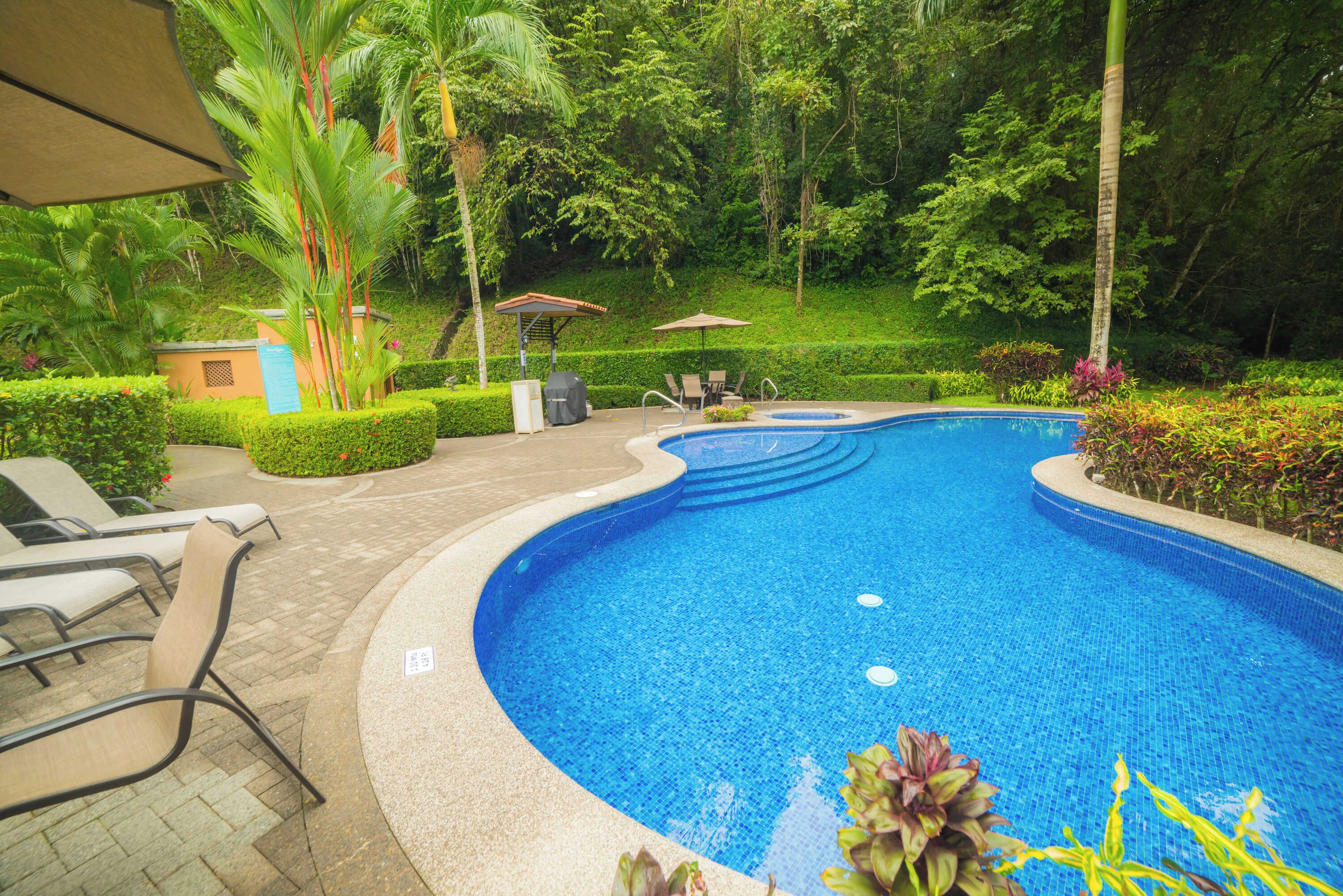 A swimming pool with lounge chairs, surrounded by greenery and a small building with a roof.