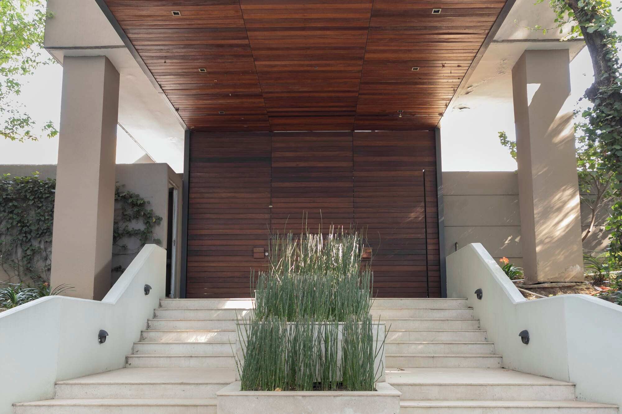 Une entrée moderne, avec un plafond en bois, des marches en béton et un bac à plantes contenant de hautes herbes.