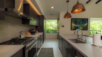 A modern kitchen with stainless steel appliances, a large window, and a painting on the wall.