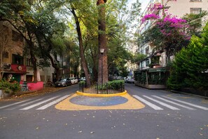 Property grounds - Modern Loft with Balcony & View of Parque Mexico (Ciudad de México)
