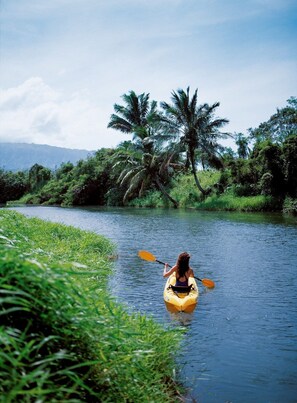 Eine Person paddelt mit einem Kajak auf einem Fluss, umgeben von üppiger Vegetation und Palmen.