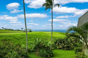 Ein Golfplatz mit einer Laube, Palmen und Blick auf den Ozean.