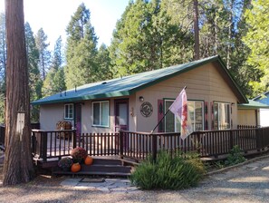 A lodge with a porch, a flag, and a mountain backdrop. - Cozy Home in Pioneer (Pioneer)