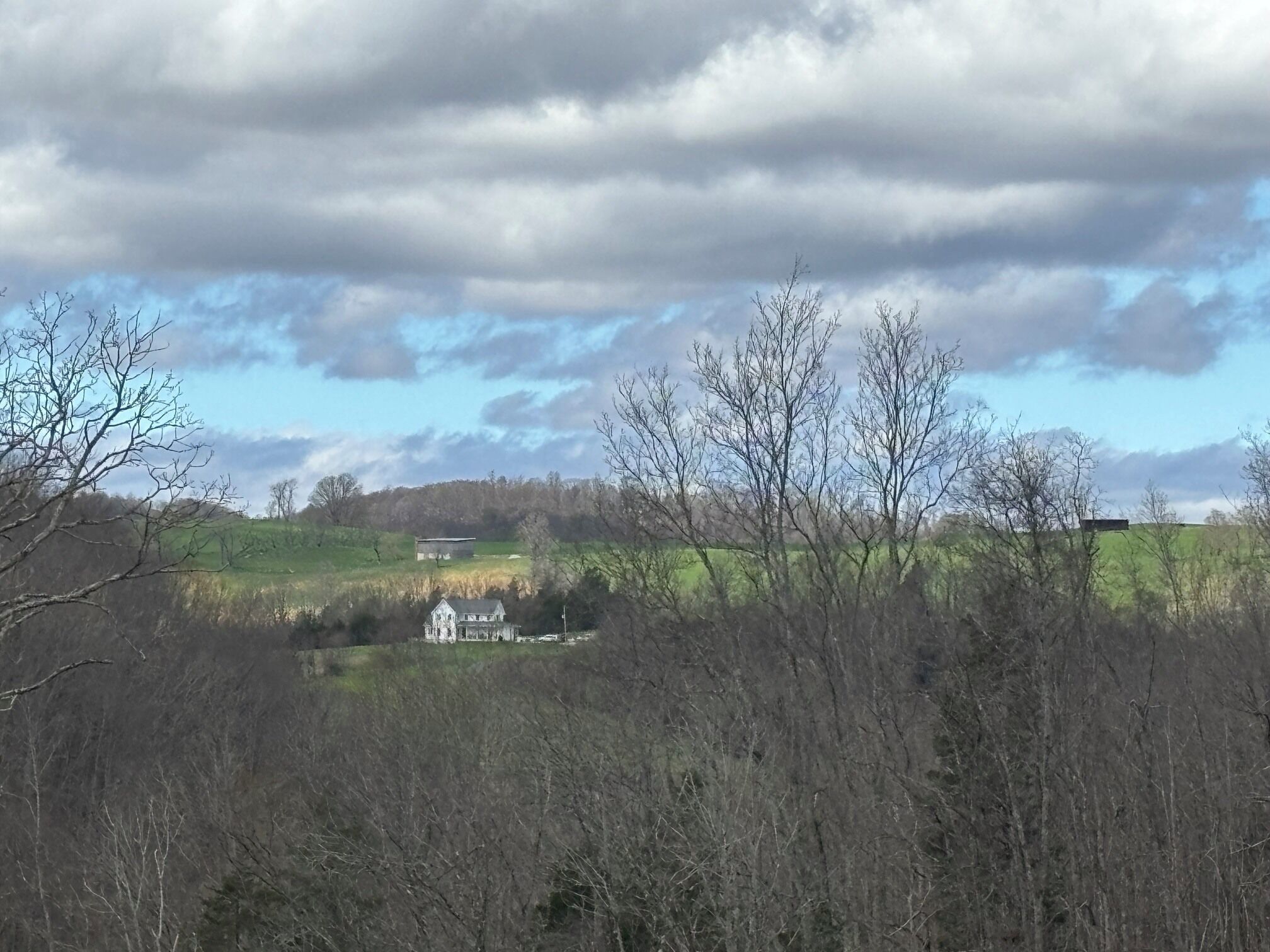 Paisaje rural con una casa rodeada de árboles y campos.