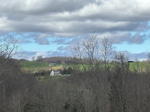 Paisatge rural amb una casa envoltada d'arbres i camps.