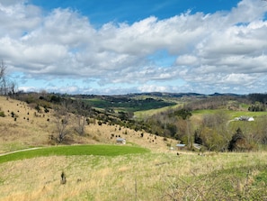 Paisaje rural con colinas ondulantes, árboles dispersos y algunos edificios.