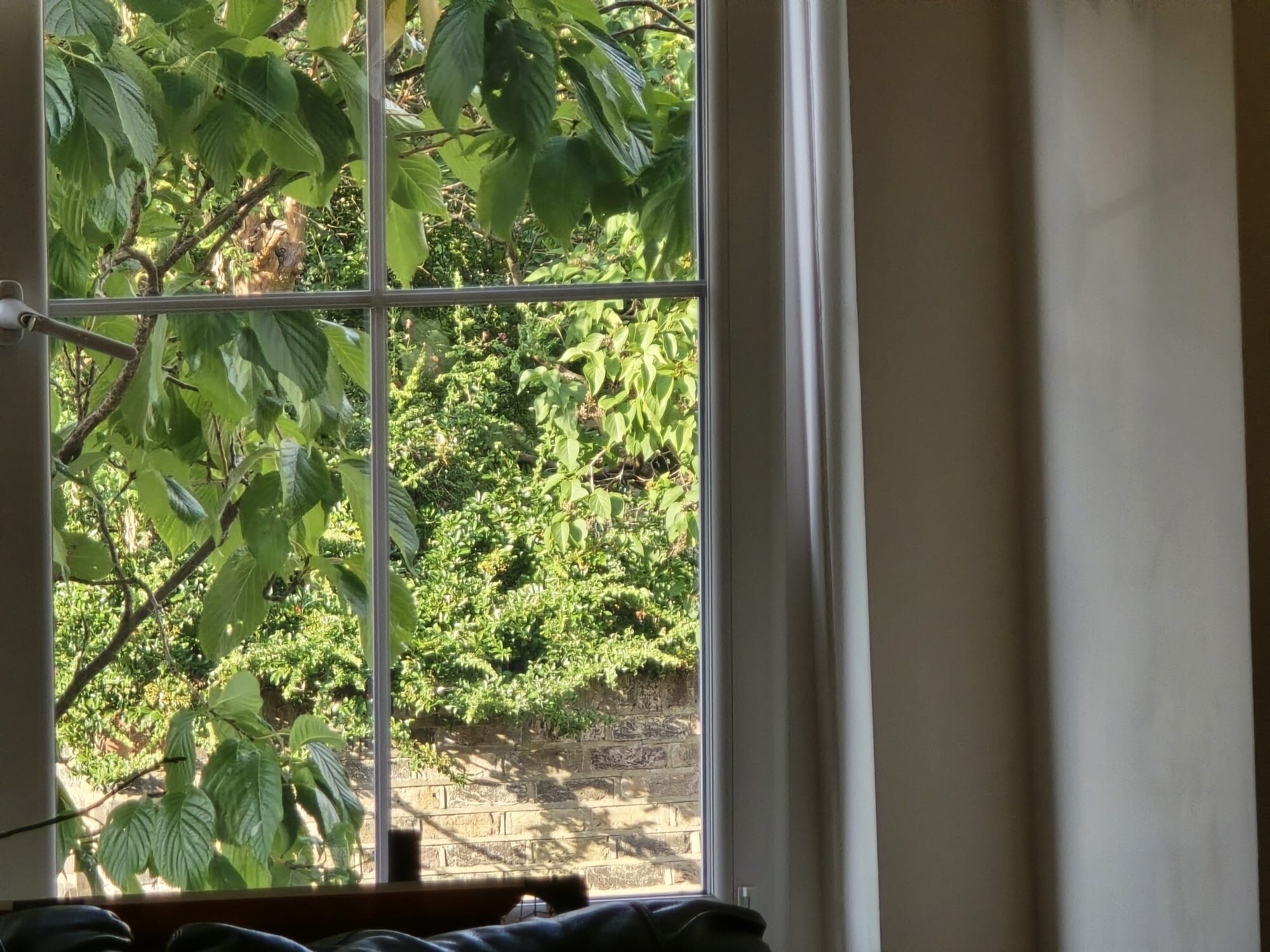 A window with a view of a garden and a brick wall.