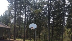 Una cancha de baloncesto con un aro, rodeada de árboles.