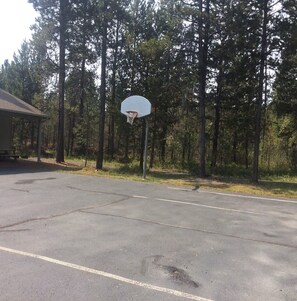 Ein Basketballplatz mit Korb, umgeben von Bäumen.
