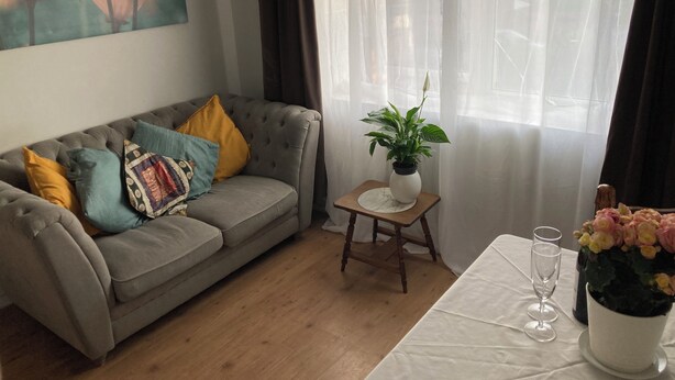 Een woonkamer met een grijze bank, kleurrijke kussens, een kleine tafel met een potplant, en een tafel met een bloevas en twee wijnglazen.