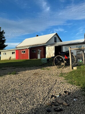 A gravel driveway leading to a red barn with a white roof, a wheelbarrow, and a fence.