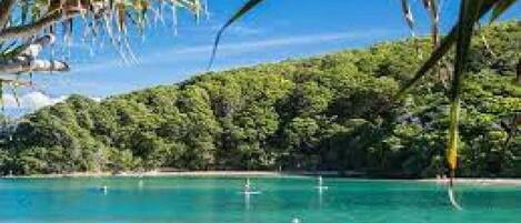 Strand