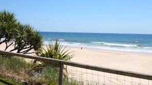 Ein Strand mit einem Zaun, Palmen und dem Meer.