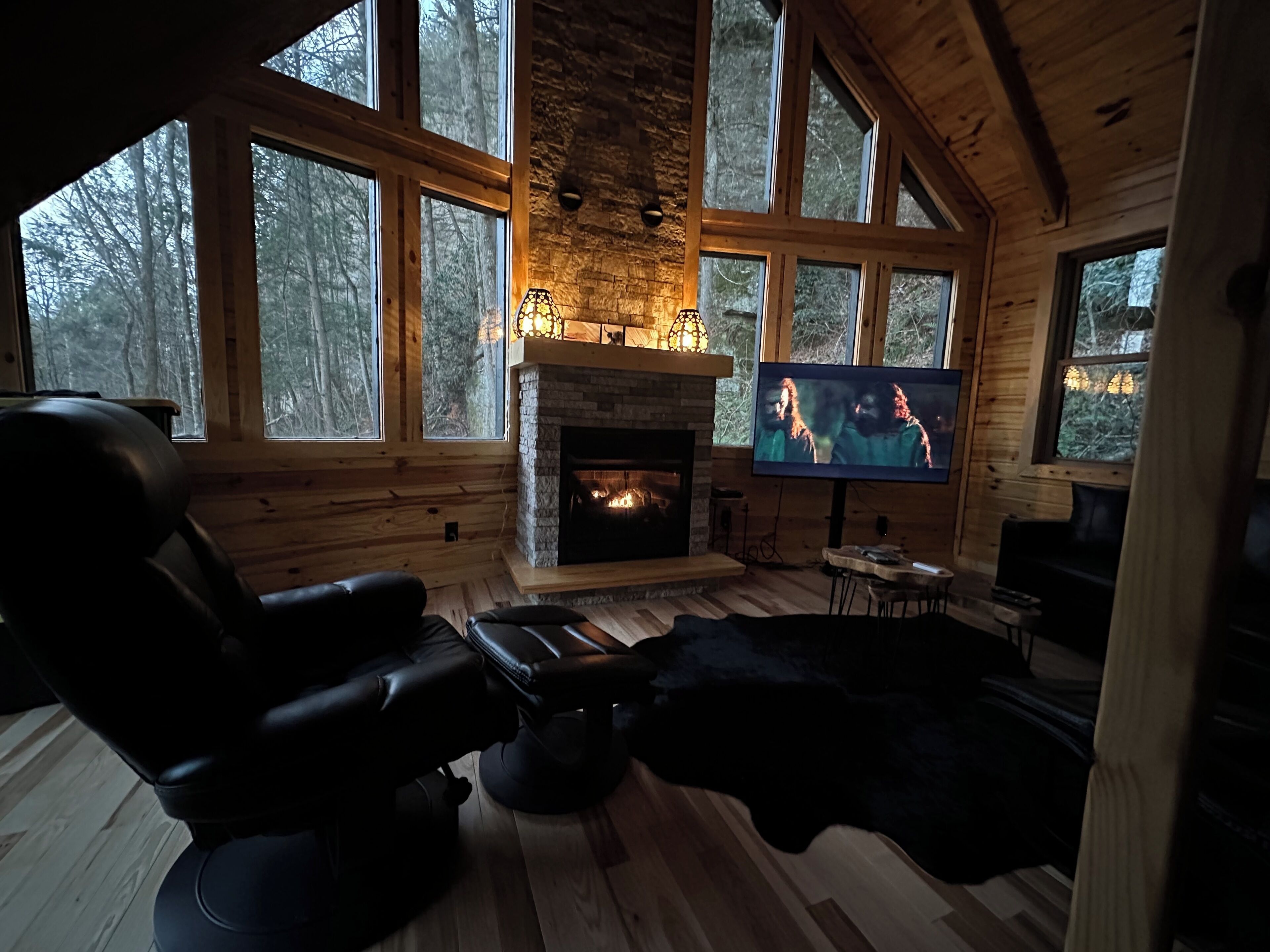TV connectée, cheminée, lecteur de DVD, livres